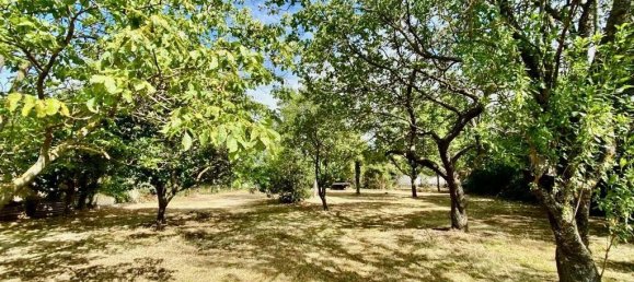 Grundstück in Traiskirchen, Austria, Nr. 130312 7