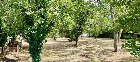 Grundstück in Traiskirchen, Austria, Nr. 130312 4