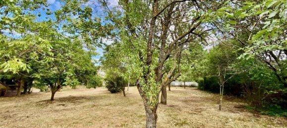 Grundstück in Traiskirchen, Austria, Nr. 130312 5