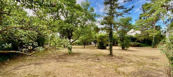 Grundstück in Traiskirchen, Austria, Nr. 130312 6