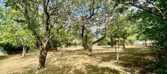 Grundstück in Traiskirchen, Austria, Nr. 130312 2