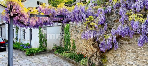 5 غرف نوم فيلا في Trontano, Italy رقم 70564 16