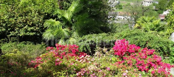 5 غرف نوم فيلا في Trontano, Italy رقم 70564 13