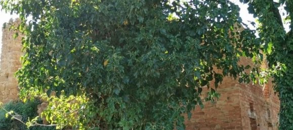 16 rooms House in San Gimignano, Italy No. 195474 11