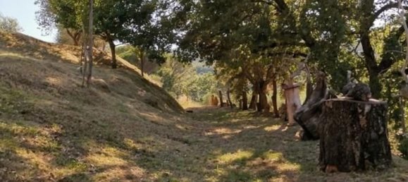 16 rooms House in San Gimignano, Italy No. 195474 19