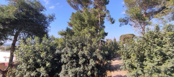 11غرفة فيلا في Manduria, Italy رقم 232249 29