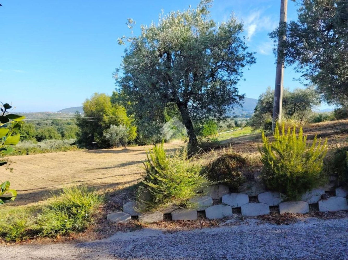  قطعة أرض في Torri in Sabina, Italy 8270متر مربع رقم 283981