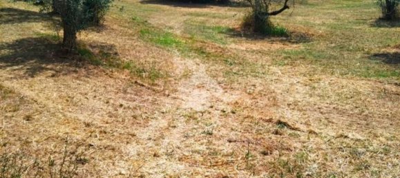 قطعة أرض في Torri in Sabina, Italy 8270متر مربع رقم 283981 2