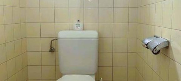 2 bedrooms Bungalow in Enzenreith, Austria No. 168002 17