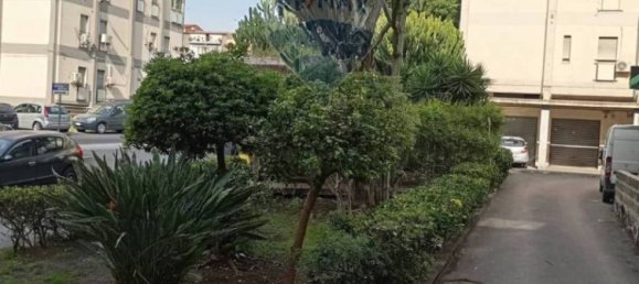 1-Zimmer Gewerbliche Immobilie in Catania, Italy, Nr. 322819 2