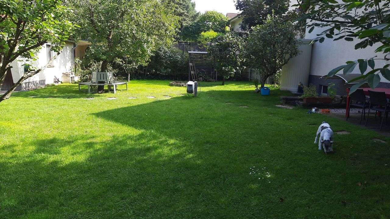 Terrain à Potsdam-Mittelmark, Germany No. 74527