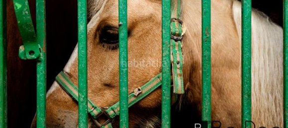 2 bedrooms House in Mijas, Spain No. 138981 12