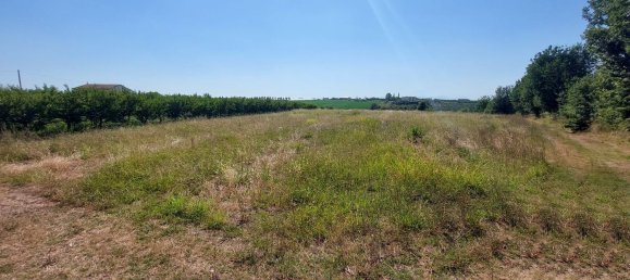 Grundstück in Eboli, Italy 20000m², Nr. 300324 6