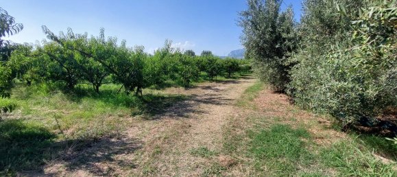 Grundstück in Eboli, Italy 20000m², Nr. 300324 4