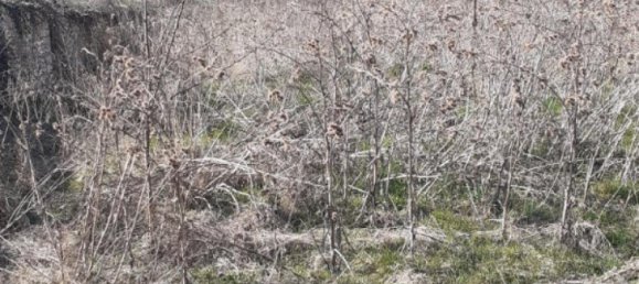 Terrain à Xirocourt, France 1020m² No. 91326 5