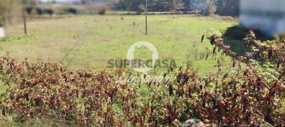 Terreno em Barcelos, Portugal N.º 308501 16