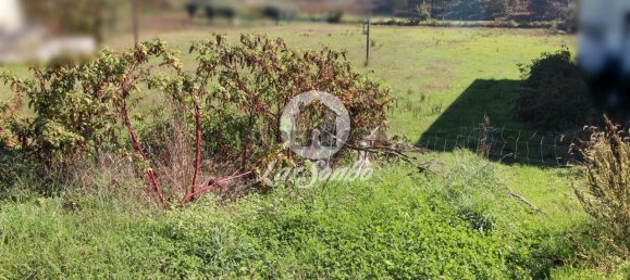 Terreno em Barcelos, Portugal N.º 308501 6