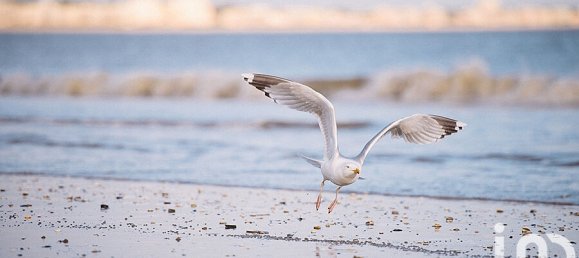 Квартира с 1 спальней в Ла Боль-Эскублак, Франция № 113161 12