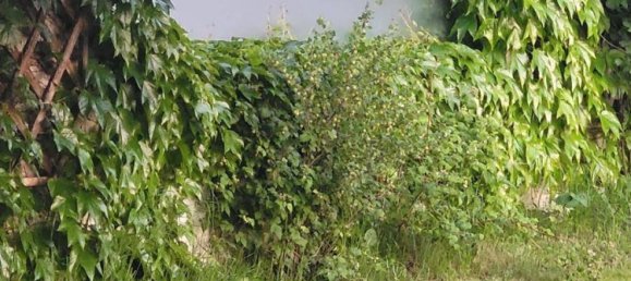 4 bedrooms House in Erlauf, Austria No. 9994 27