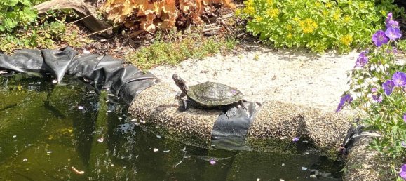 6 rooms Townhouse in Bayreuth, Germany No. 225538 33