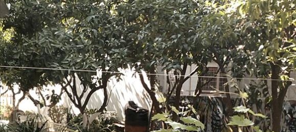  em Euboea, Greece 384 m² N.º 6682 9