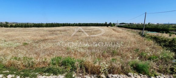 Studio in Ugento, Italy, Nr. 108953 2