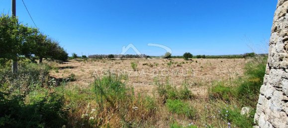 Studio in Ugento, Italy, Nr. 108953 7