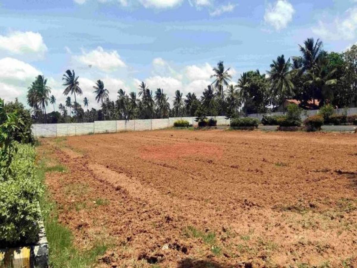  Land in Bangalore, India No. 39705