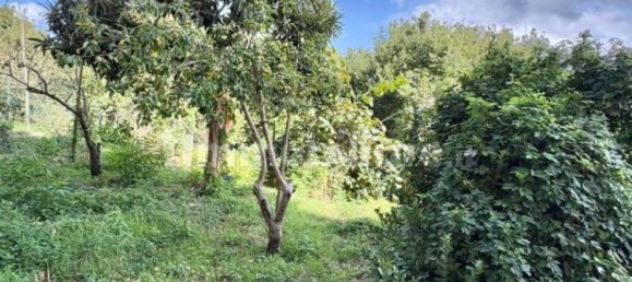 5 bedrooms Duplex in Avellino, Italy No. 344593 19