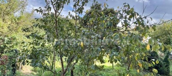 5 bedrooms Duplex in Avellino, Italy No. 344593 22