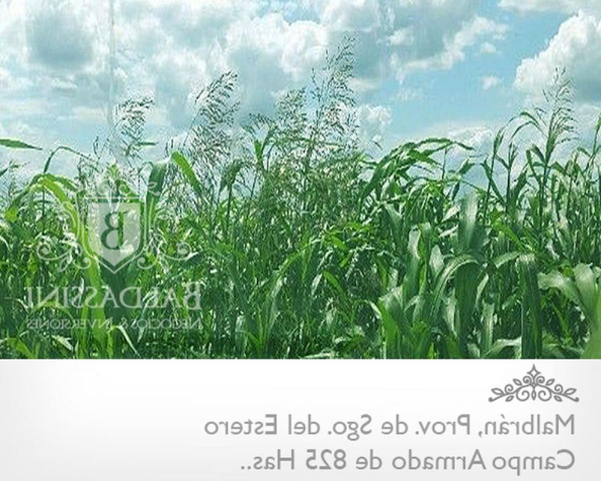 4 bedrooms House in Santiago del Estero, Argentina No. 2823