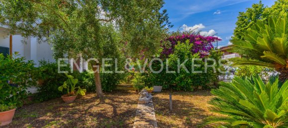 Вилла с 3 спальнями в Валенцано, Италия № 281470 23