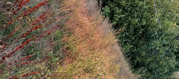 Земельный участок 200м² в Брони, Италия № 269986 6