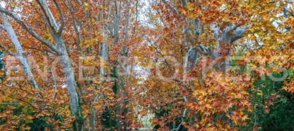 21 room Villa in Riolo Terme, Italy No. 138750 7