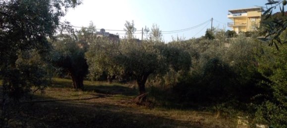 Hotel en Argolis, Greece 1307 m² No. 4295 10