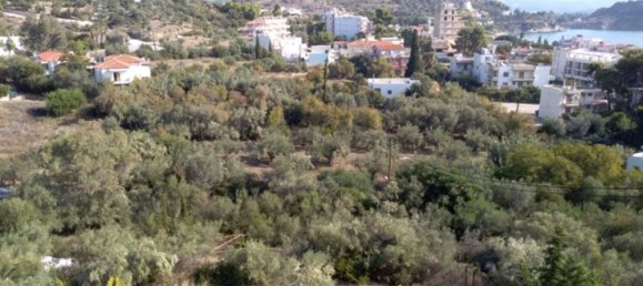 1307m² Hotel for sale in Argolis, Peloponnese, Peloponnese, Western Greece and the Ionian, Greece № 4295 3
