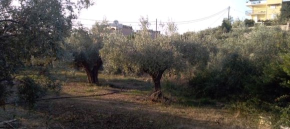 Hotel en Argolis, Greece 1307 m² No. 4295 6