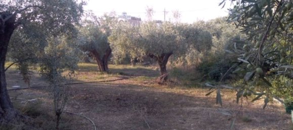 Hotel en Argolis, Greece 1307 m² No. 4295 7