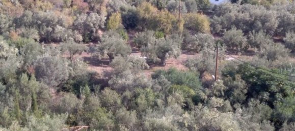 Hotel en Argolis, Greece 1307 m² No. 4295 5