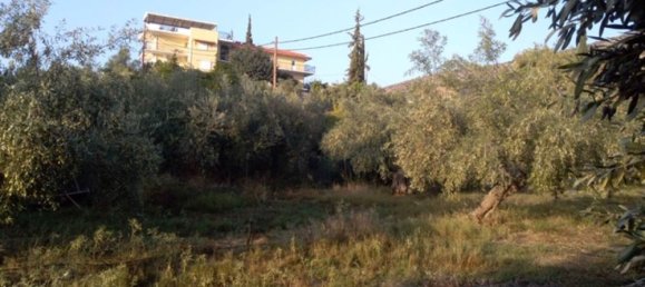 Hotel en Argolis, Greece 1307 m² No. 4295 8