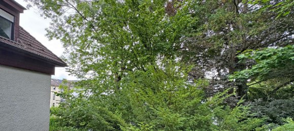 Apartamento T1 em Lippe, Germany N.º 245482 9