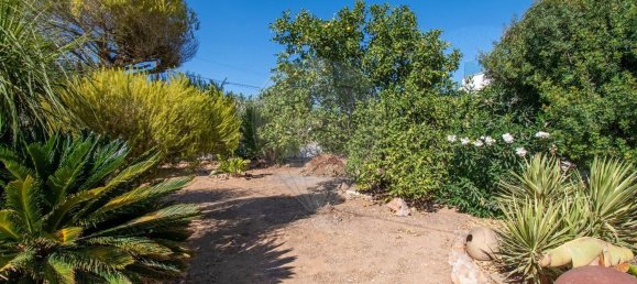 6 Schlafzimmer Haus in Guia, Portugal, Nr. 233404 28