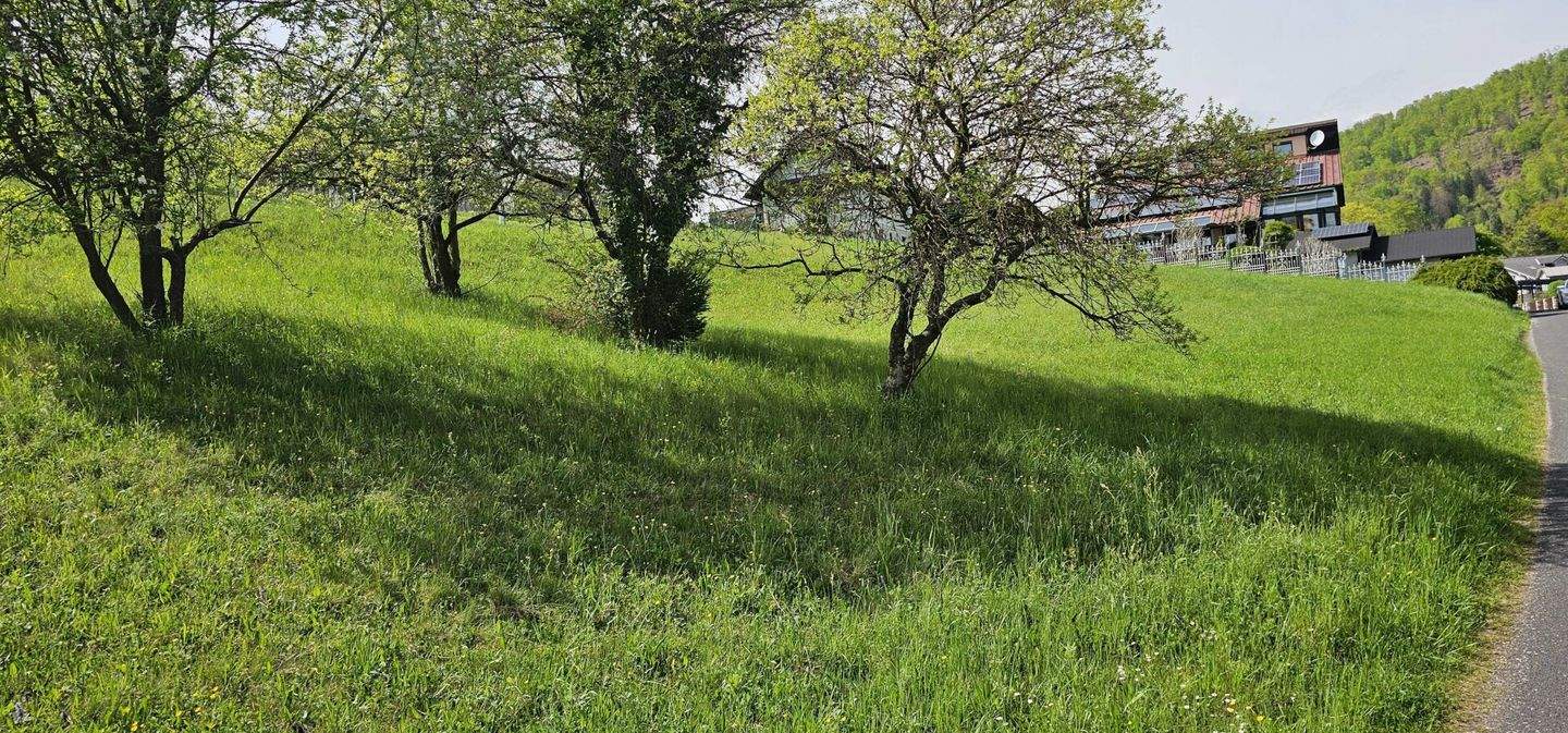  Land in Gratwein-Strassengel, Austria No. 245219