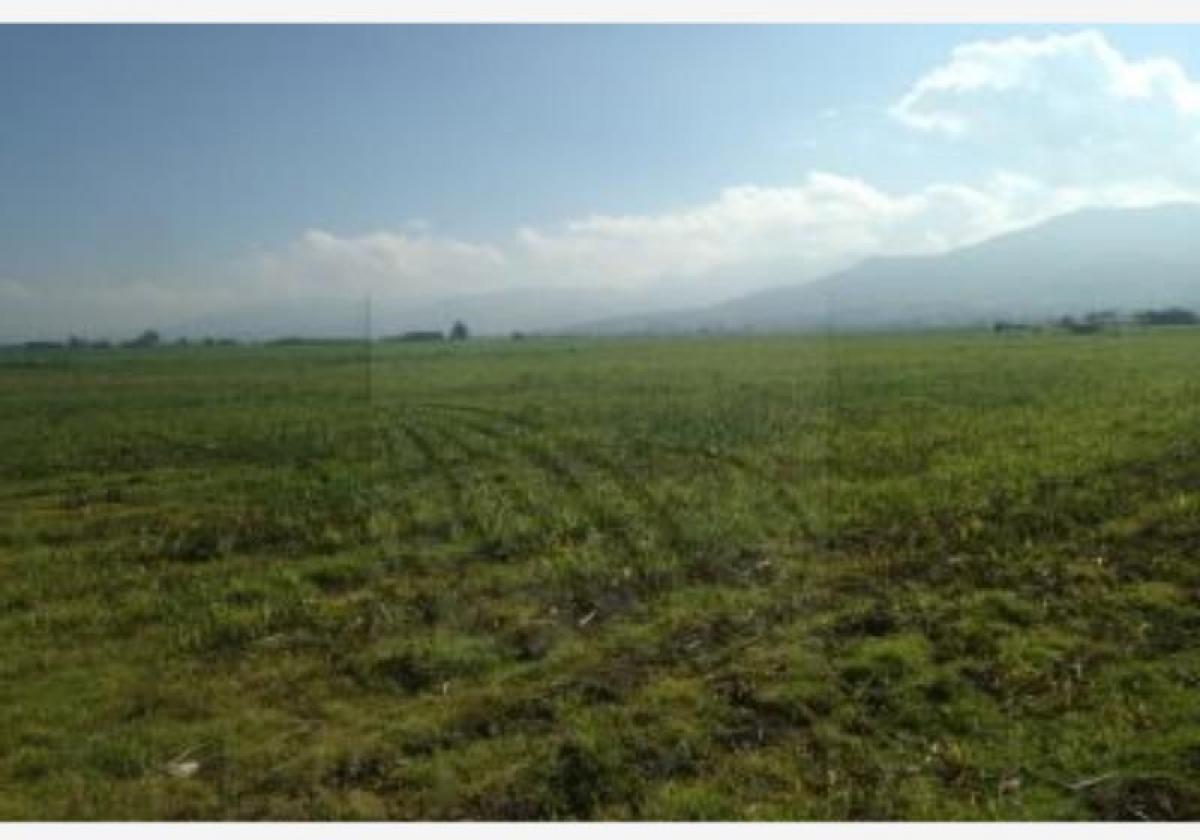 Terrain à Xonacatlan, Mexico No. 203881