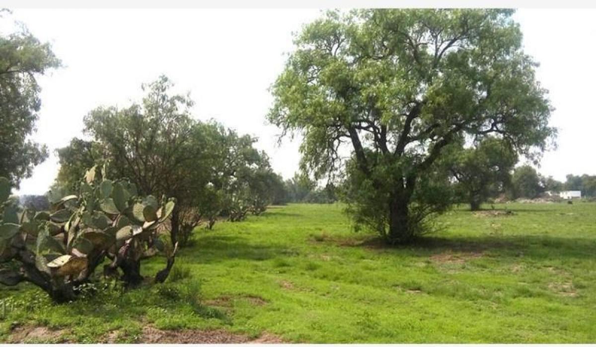 Terrain à Acolman, Mexico No. 204738