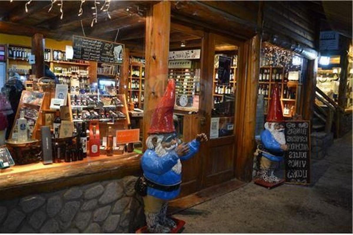 Gewerbliche Immobilie in Neuquen, Argentina 82m², Nr. 25910