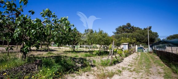 8 bedrooms Castles in Seixal, Portugal No. 88141 25