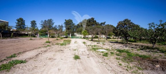 8 bedrooms Castles in Seixal, Portugal No. 88141 14