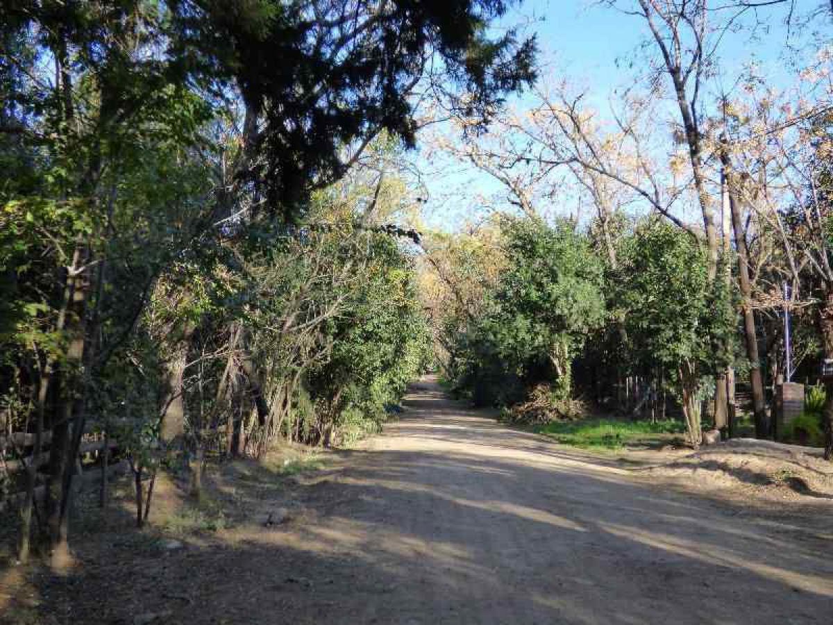  Land in Cordoba, Argentina No. 40686