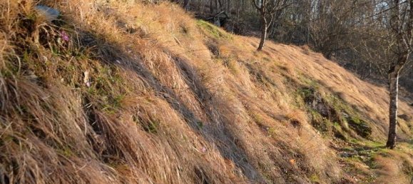 9-Zimmer Haus in Urbe, Italy, Nr. 125438 16